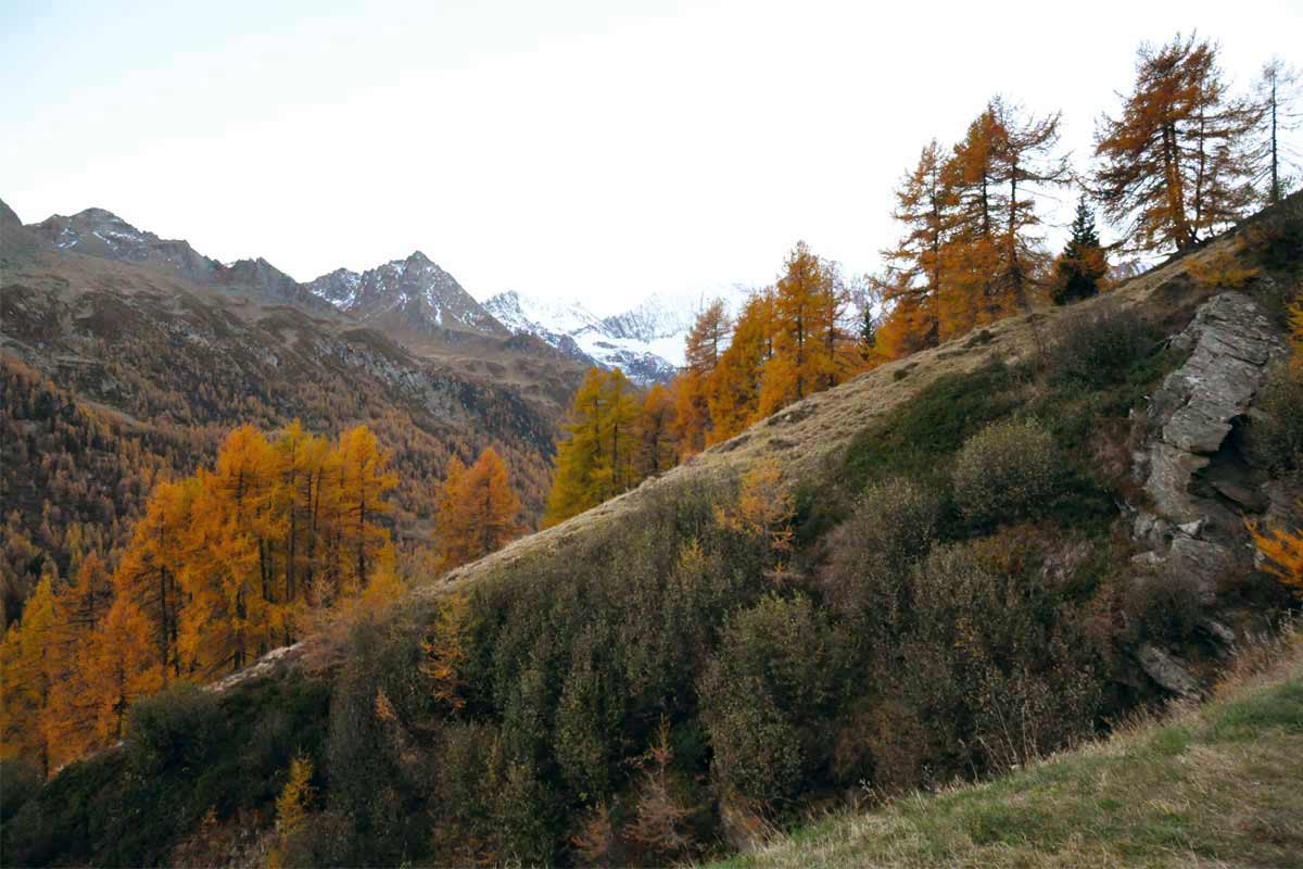 Passo del Rombo